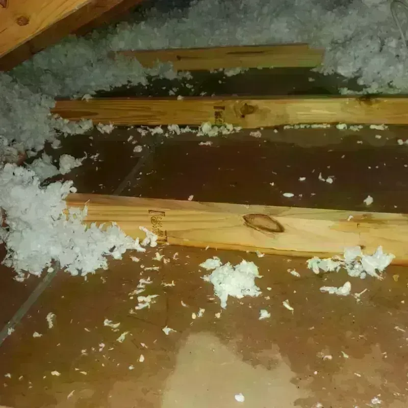 Attic Water Damage in Excelsior Springs, MO